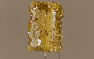 Hunajakennopala, jossa on runsas hunaja ja mehiläisvaha.