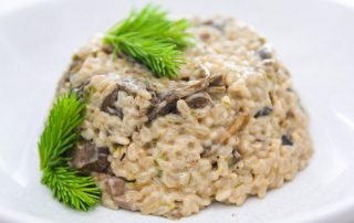 Sienirisotto hunajalla ja kuusenkerkillä, kaunis ja herkullinen annos.