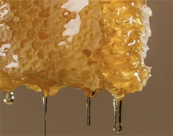Hunajainen SAM | Tietoa hunajasta